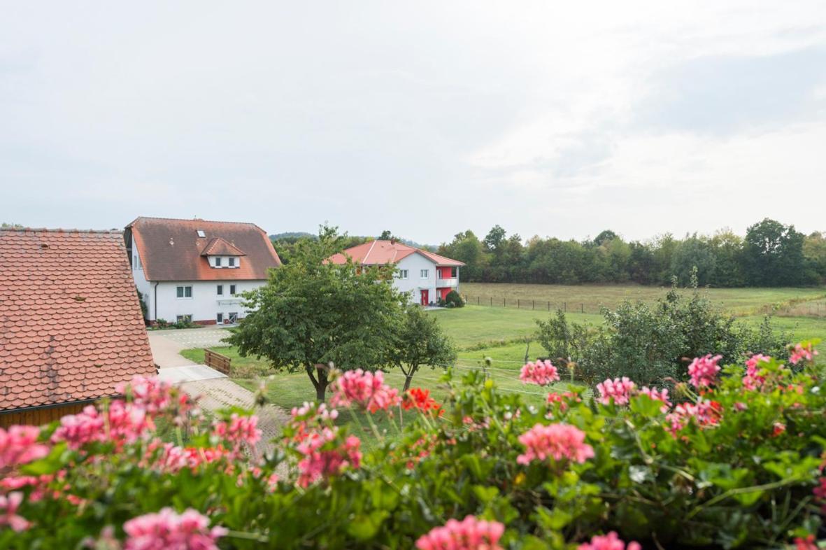 Gasthaus-Pension Hofmann Oberdachstetten Eksteriør billede